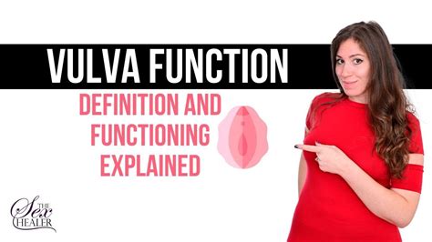 vulva wiki dictionary|vulva meaning in english.